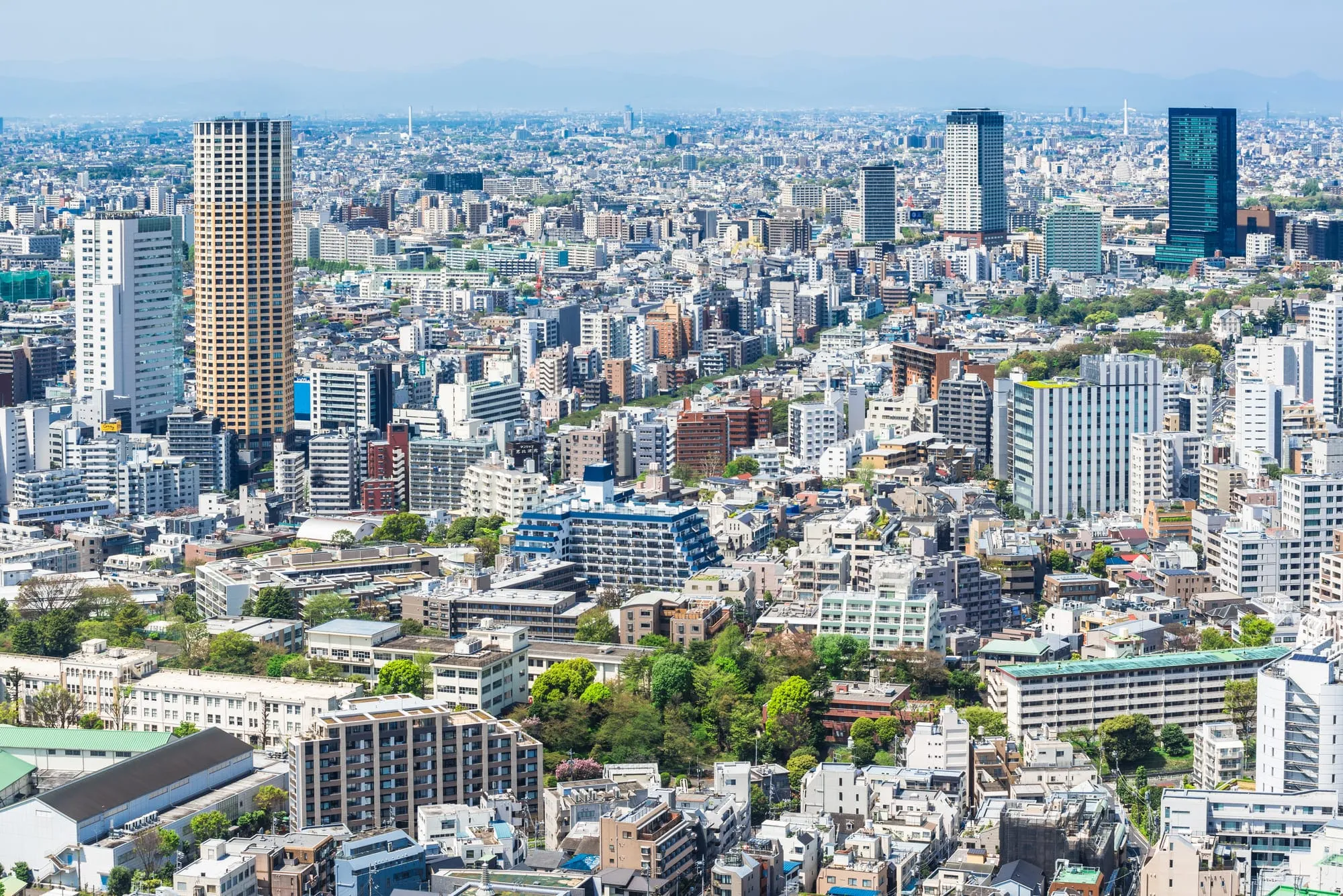 緑地や学校が点在する市街地の上空からの眺望で、遠くの山並みまで見渡せる構図