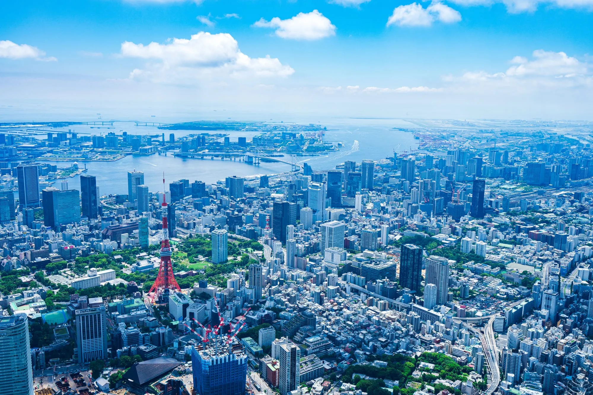 緑地が点在し、都市と自然が共存するダイナミックな都市風景